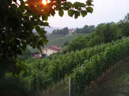 abendstimmung.jpg (174831 Byte)