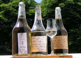 grappa.jpg (104833 Byte)